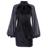 Dress Mesh Long Sleeve Sexy