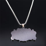 Witchcraft Cat Herbal Medicine Stainless Steel Necklace