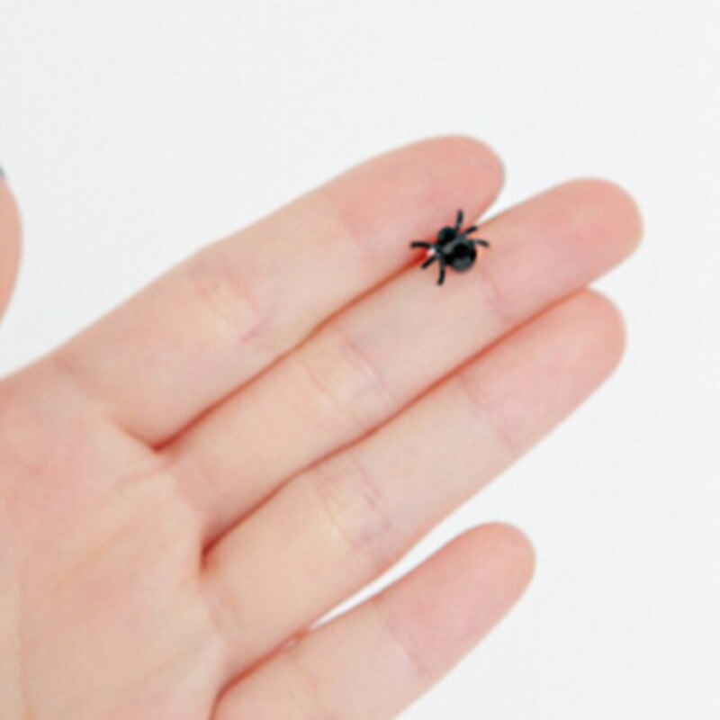 Tiny Spider Earrings Jewelry