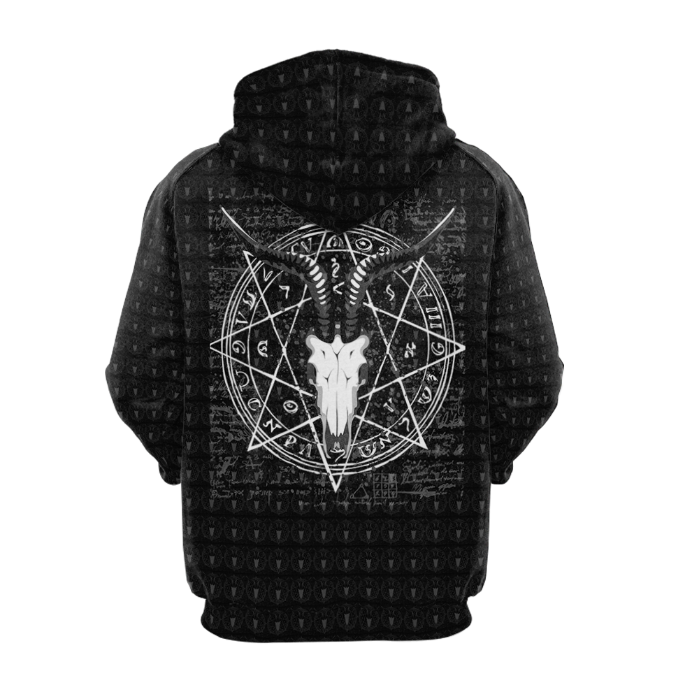 Can I Help You Hoodie Raglan Sleeve