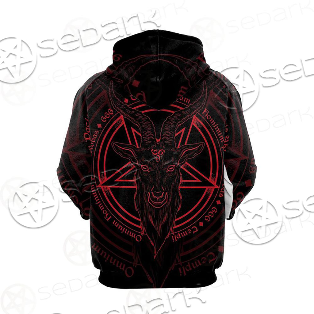 LATIN INSCRIPTION TRANSLATION Hoodie Raglan