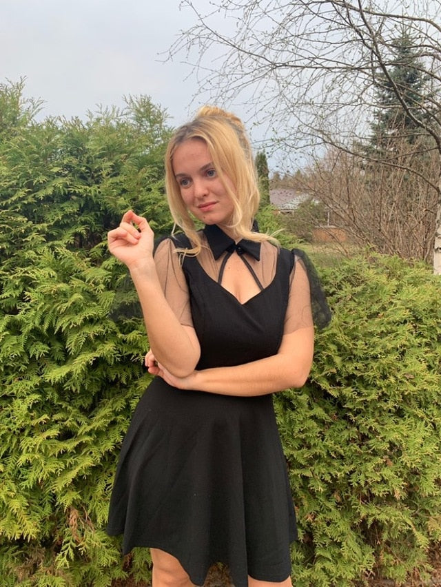 Gothic Vintage Mesh Sleeve Dress