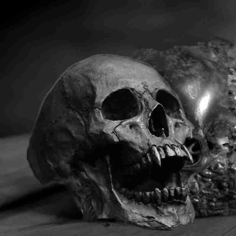 Vintage Vampire Skull Open Jaw Rings