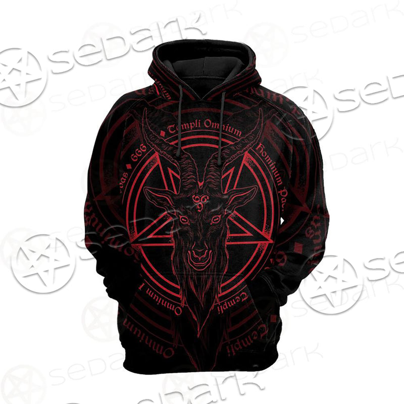 LATIN INSCRIPTION TRANSLATION Hoodie Raglan